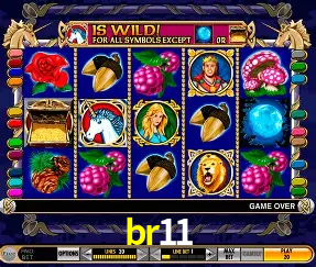 Descubra o Mundo do Cassino Online com br11
